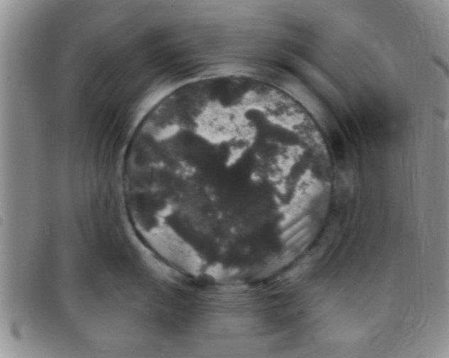 X0000097511055200803142037