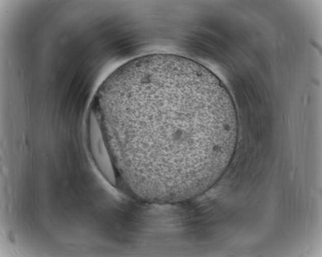 X0000097511056200803142037