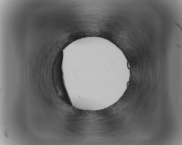 X0000097511057200803142036