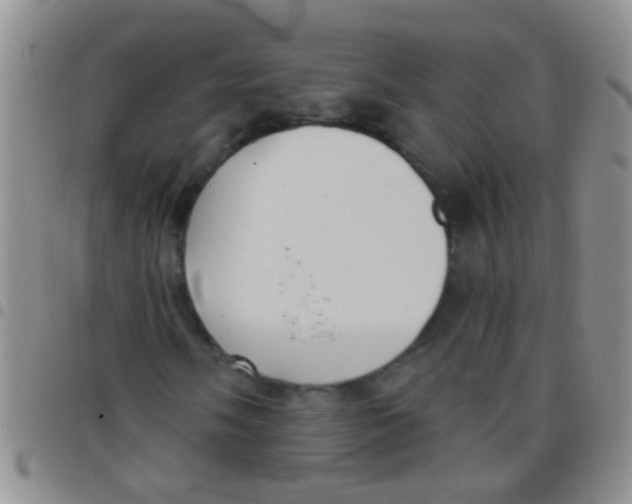 X0000097511058200803142036