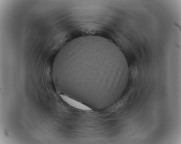 X0000097511060200803142036