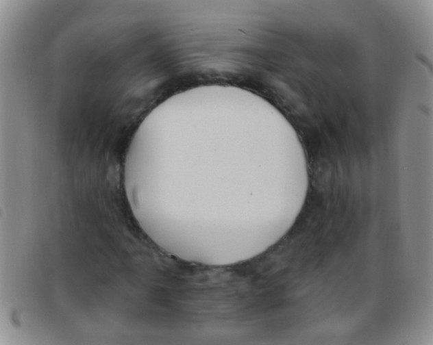 X0000097511061200803142036