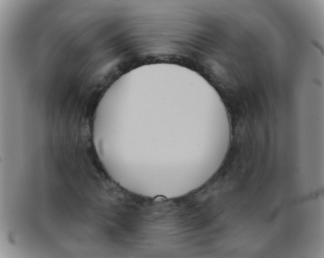 X0000097511062200803142036