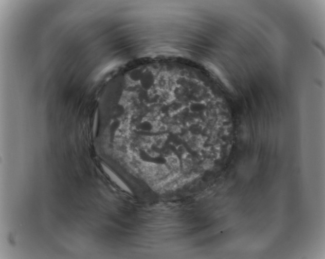 X0000097511063200803142036