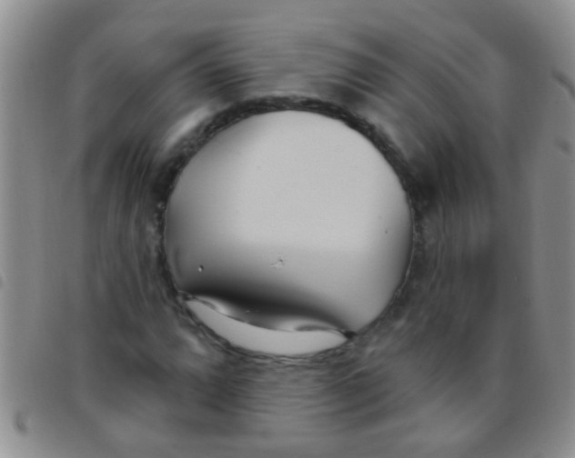 X0000097511064200803142036