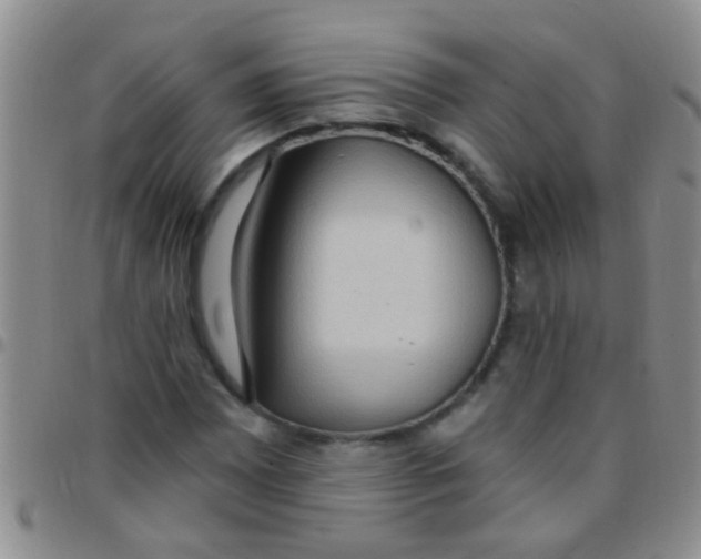 X0000097511065200803142036