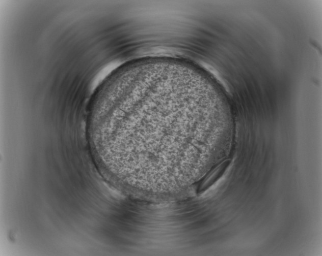 X0000097511066200803142036