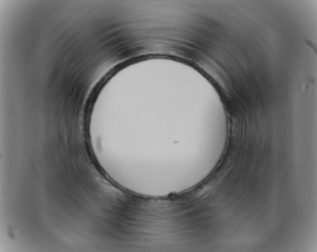 X0000097511068200803142036