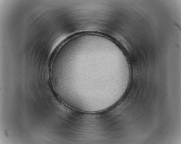 X0000097511069200803142036