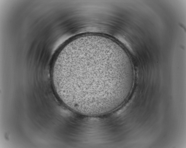 X0000097511070200803142036