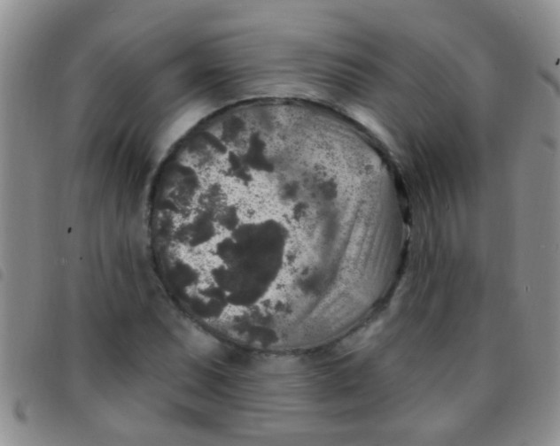 X0000097511071200803142036