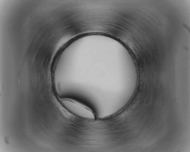 X0000097511072200803142036