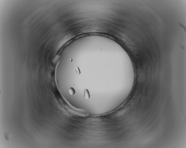 X0000097511073200803142036