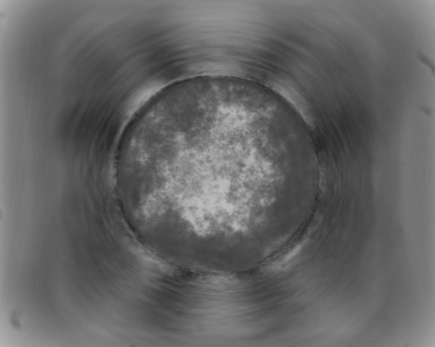 X0000097511074200803142036