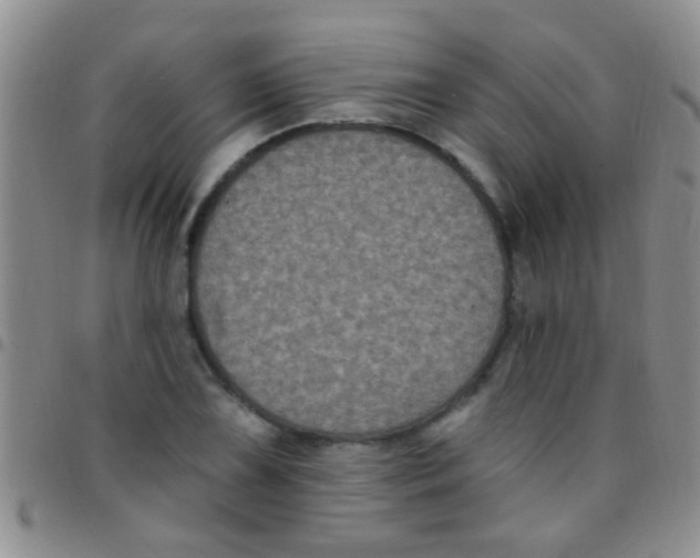 X0000097511075200803142036