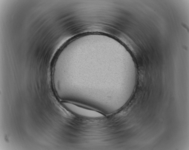 X0000097511076200803142036