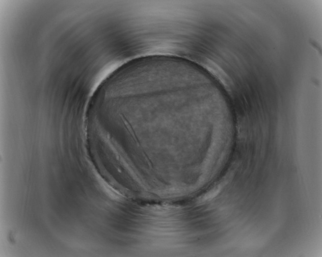 X0000097511077200803142036