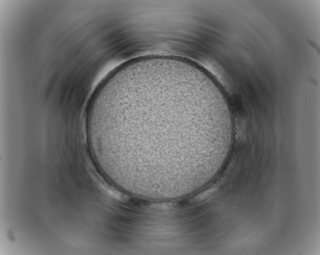 X0000097511078200803142036