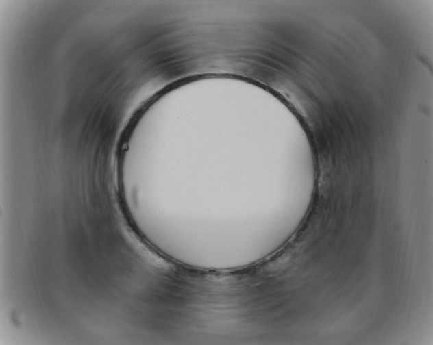 X0000097511080200803142036