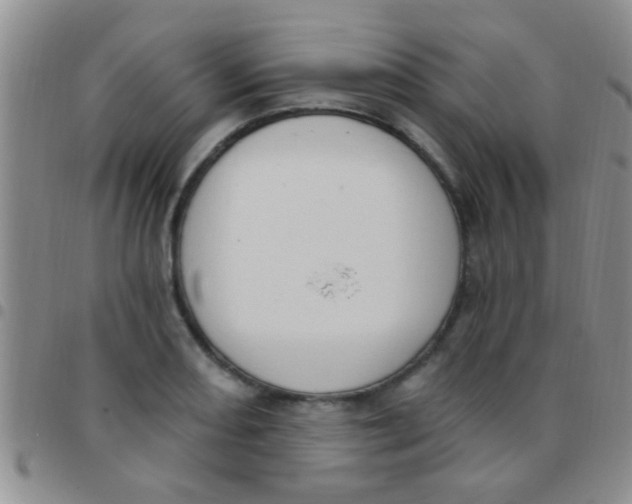 X0000097511082200803142036