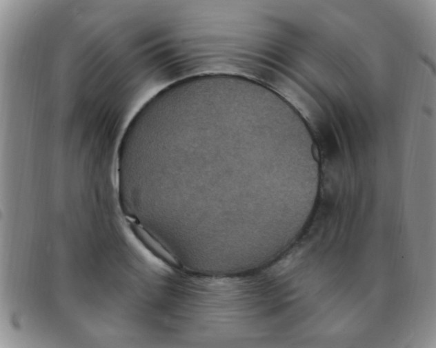 X0000097511084200803142036