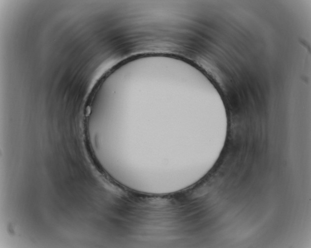 X0000097511085200803142036