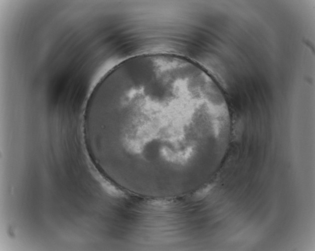 X0000097511086200803142036