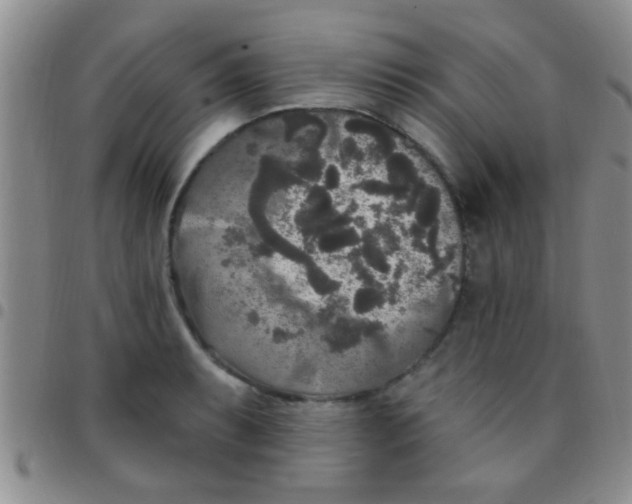 X0000097511087200803142036