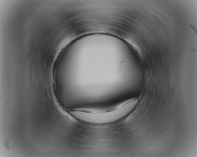 X0000097511088200803142036