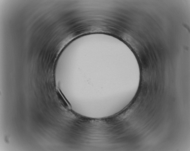 X0000097511089200803142036