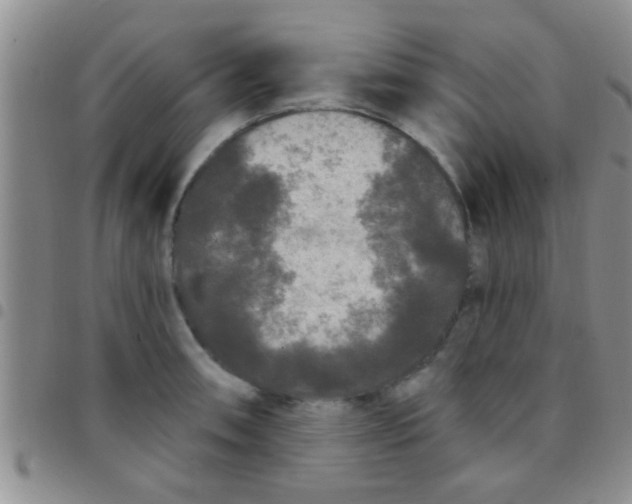 X0000097511090200803142036