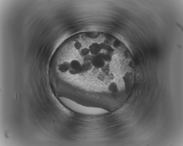 X0000097511091200803142036