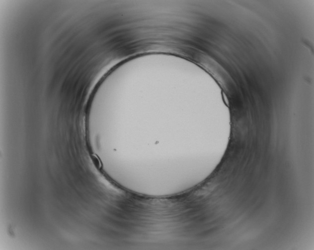 X0000097511092200803142036