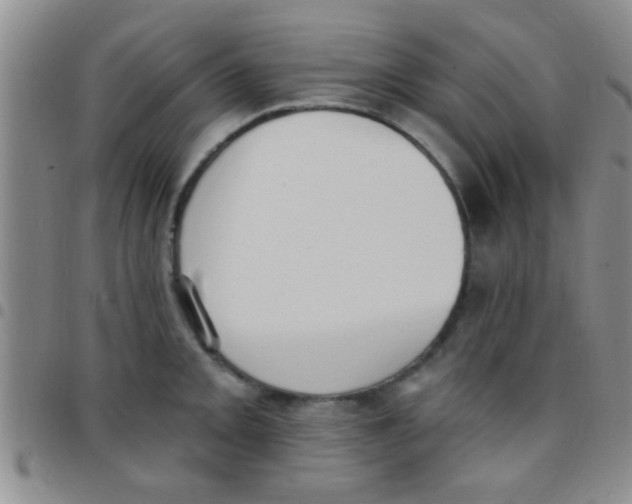 X0000097511093200803142036