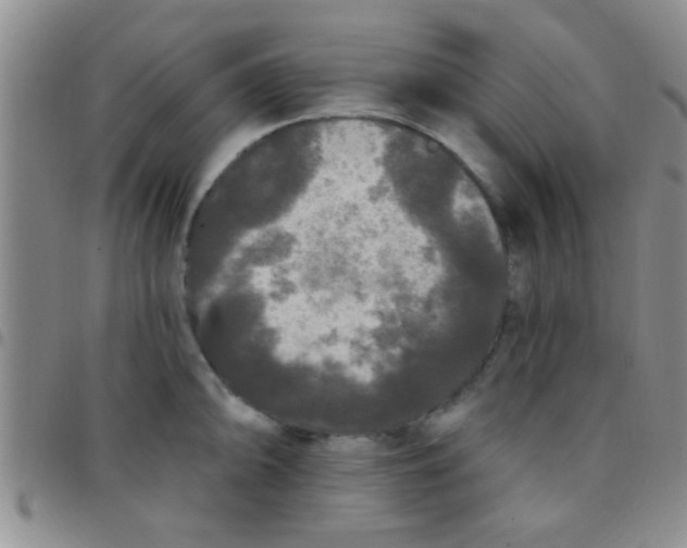 X0000097511094200803142036