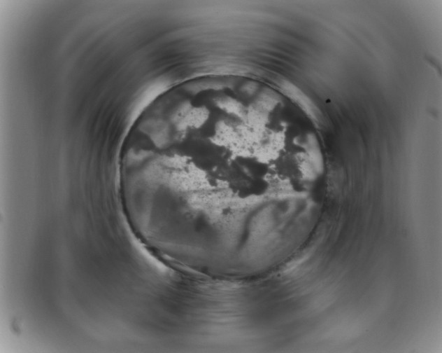 X0000097511095200803142035