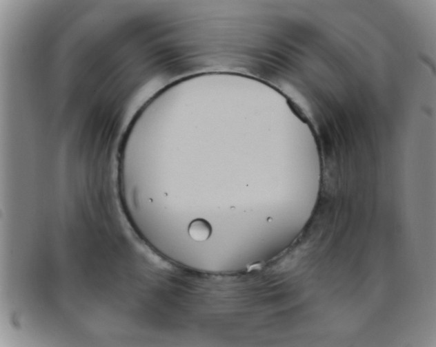 X0000097511096200803142035