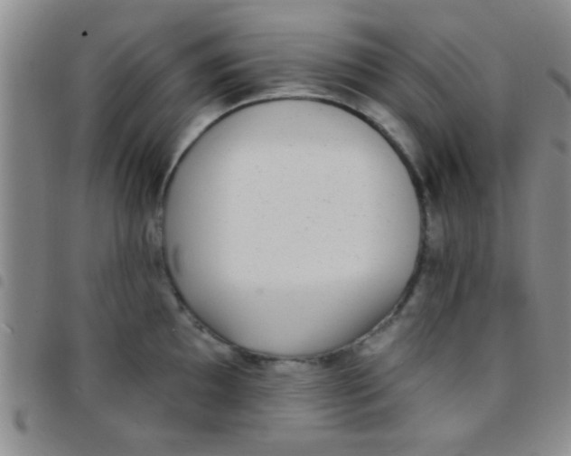 X0000097511097200803142035