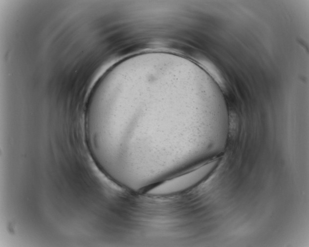 X0000097511100200803142035