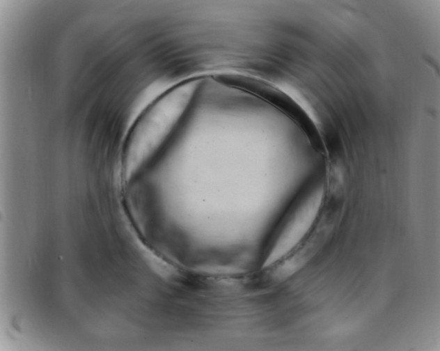 X0000097511101200803142035