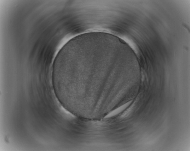 X0000097511102200803142035