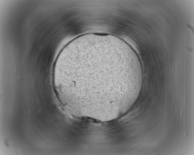 X0000097511104200803142035