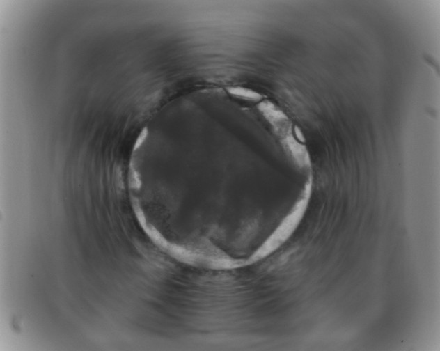 X0000097511106200803142035