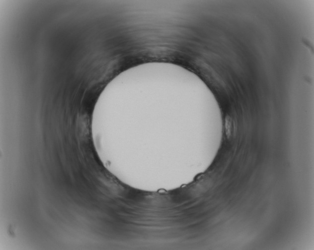 X0000097511107200803142035