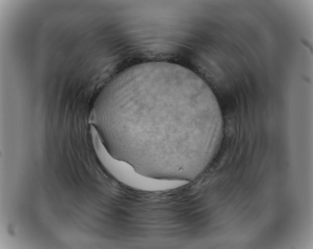 X0000097511108200803142035