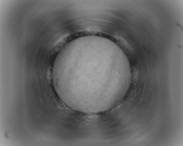 X0000097511110200803142035