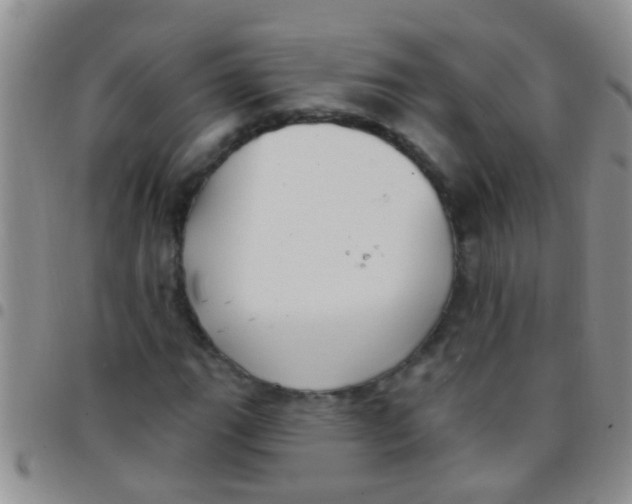 X0000097511111200803142035