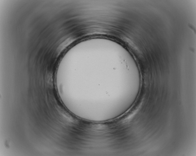 X0000097511113200803142035