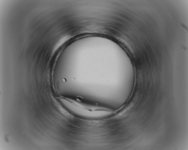 X0000097511114200803142035