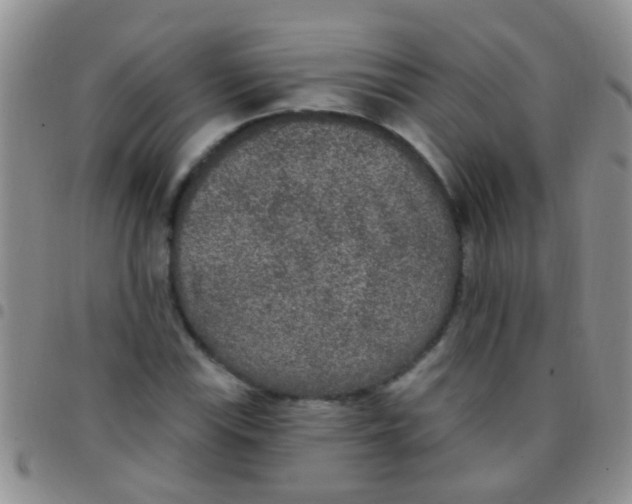 X0000097511115200803142035